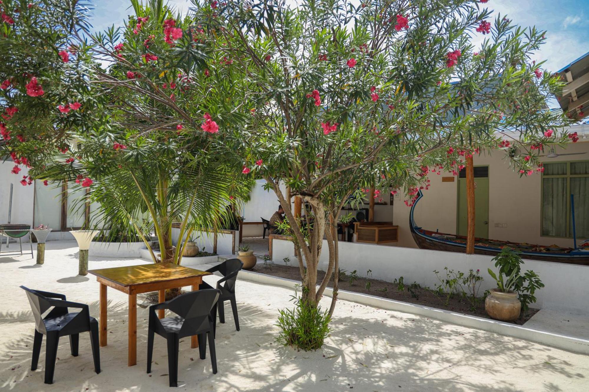 Shifa Lodge Maldives Feridhoo Ngoại thất bức ảnh