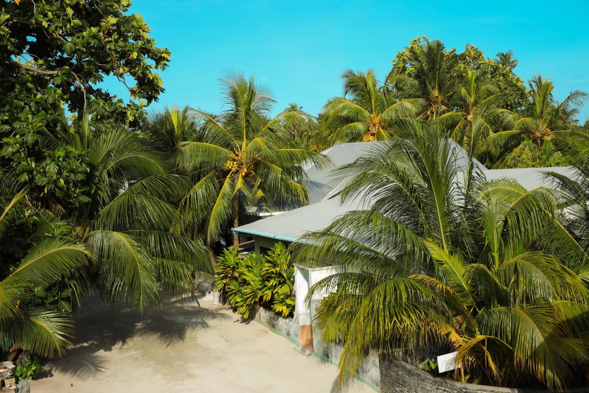 Shifa Lodge Maldives Feridhoo Ngoại thất bức ảnh