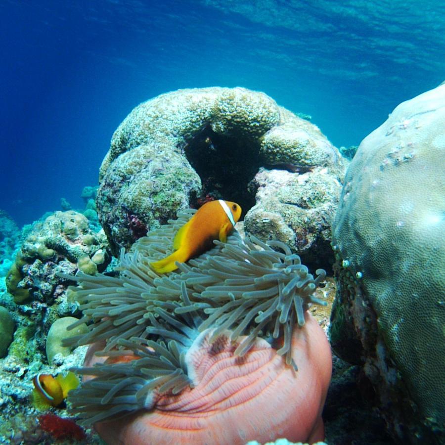Shifa Lodge Maldives Feridhoo Ngoại thất bức ảnh
