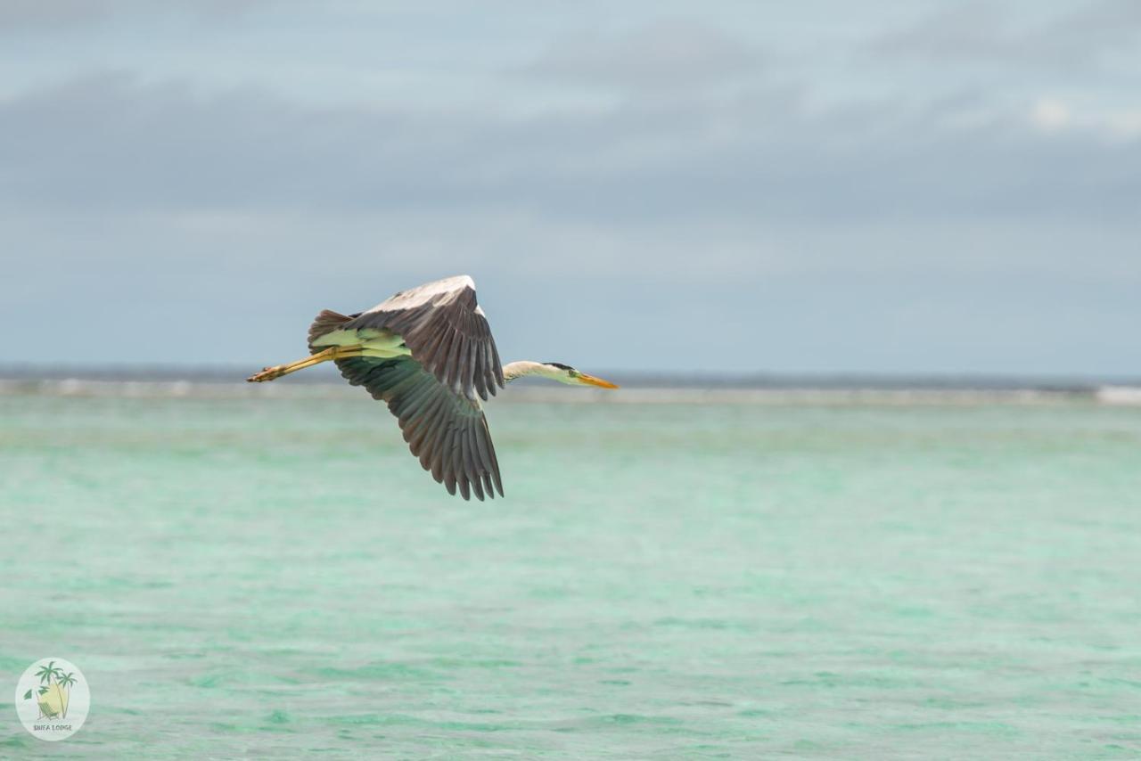Shifa Lodge Maldives Feridhoo Ngoại thất bức ảnh